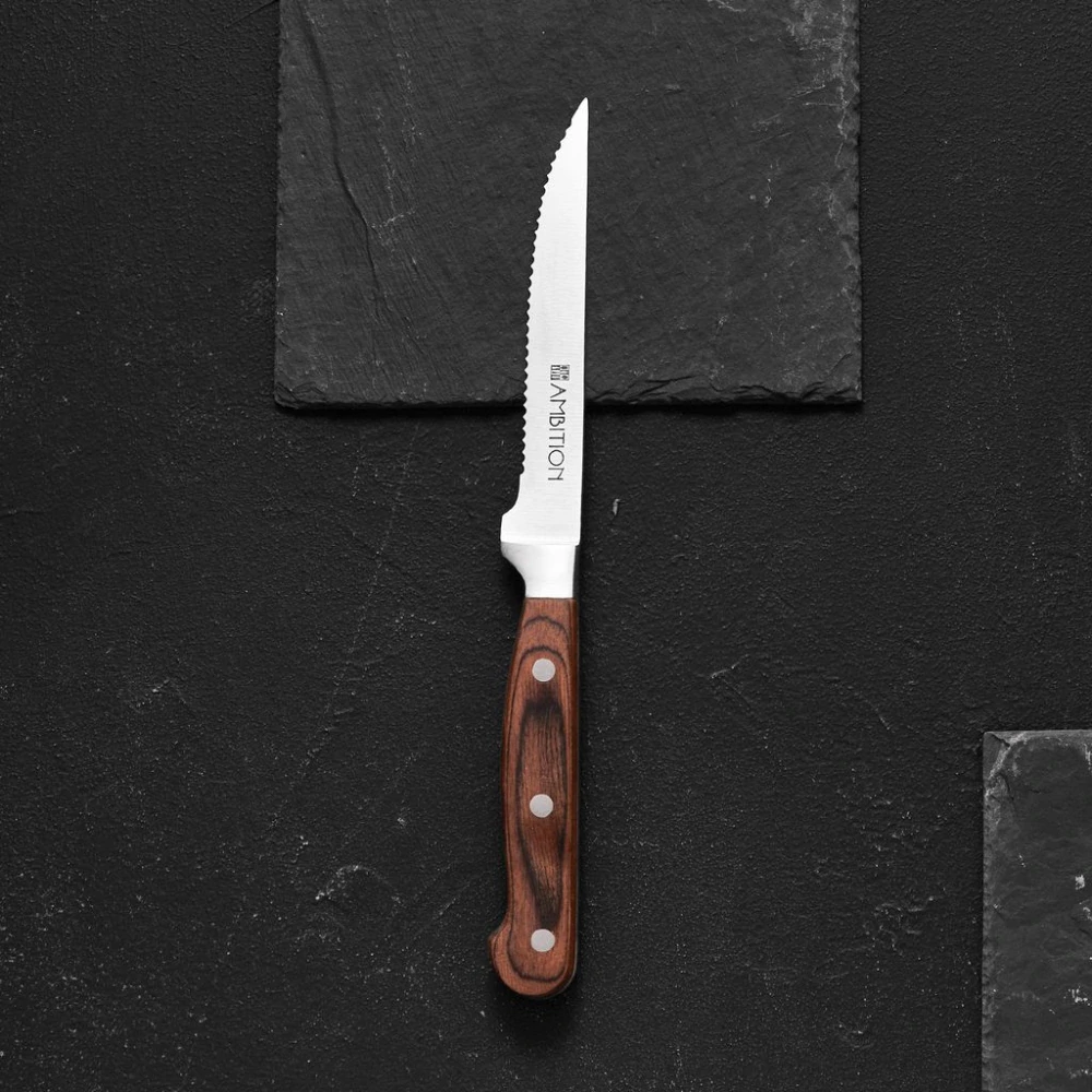 Steakový nôž Titanium 12 cm AMBITION