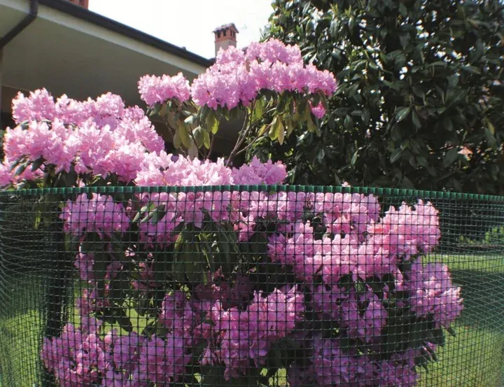Falcové pletivo Konštrukčné PVC-Zelené-80cm x1m