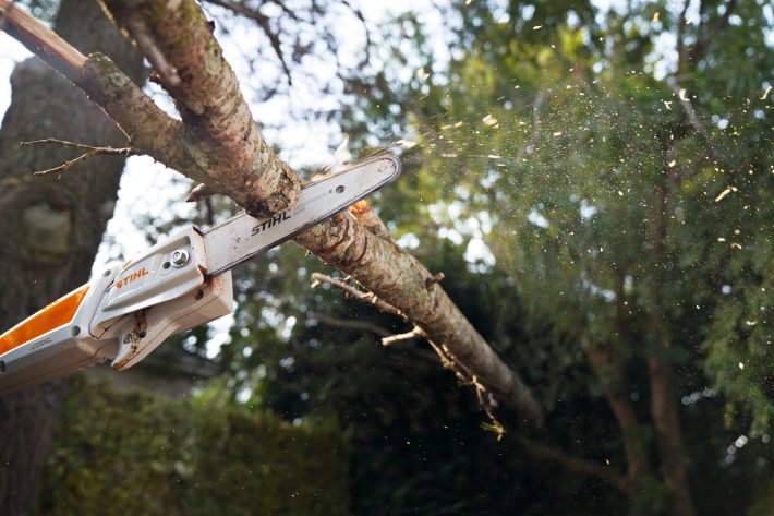 Vyvetvovacia akumulátorová píla STIHL HTA 50