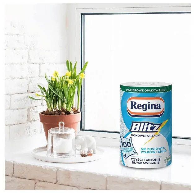 Univerzálne papierové utierky Regina Blitz, biela