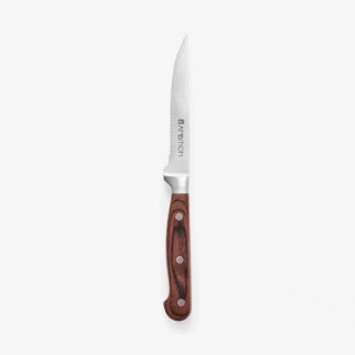 Steakový nôž Titanium 12 cm AMBITION