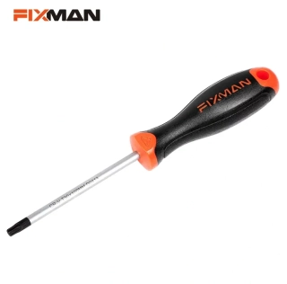 Šrobovák TORX Fixman-T10x100mm